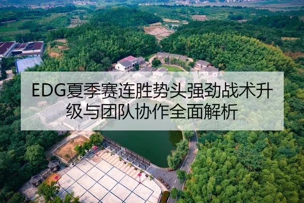EDG夏季赛连胜势头强劲战术升级与团队协作全面解析