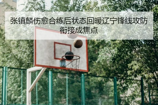张镇麟伤愈合练后状态回暖辽宁锋线攻防衔接成焦点