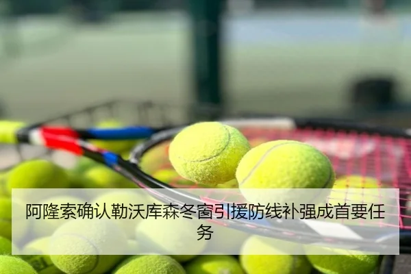 阿隆索确认勒沃库森冬窗引援防线补强成首要任务