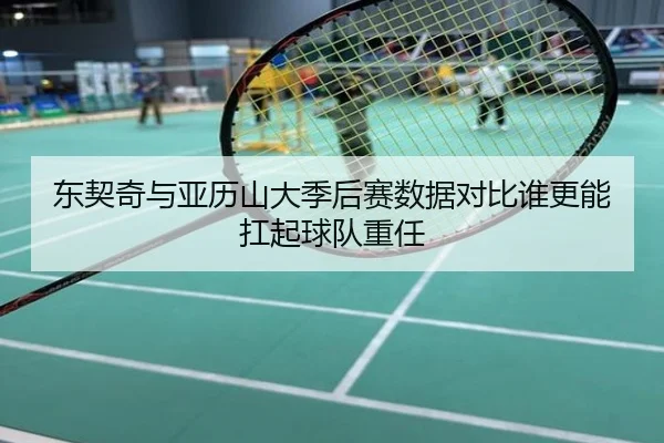 东契奇与亚历山大季后赛数据对比谁更能扛起球队重任